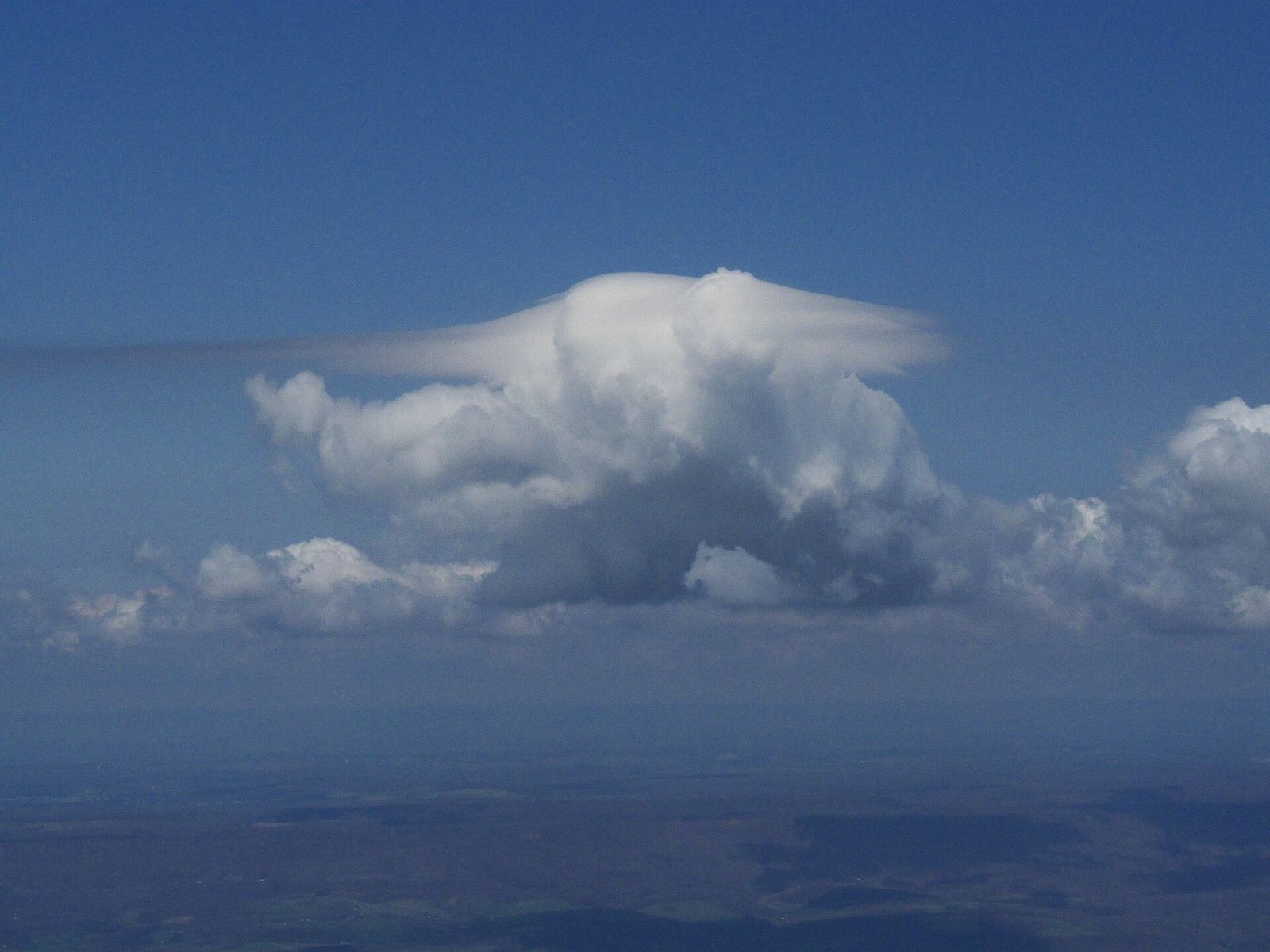 A white cumulus cloud climbing into a blue sky, with a thin smooth cap of cloud sitting just above its top.
