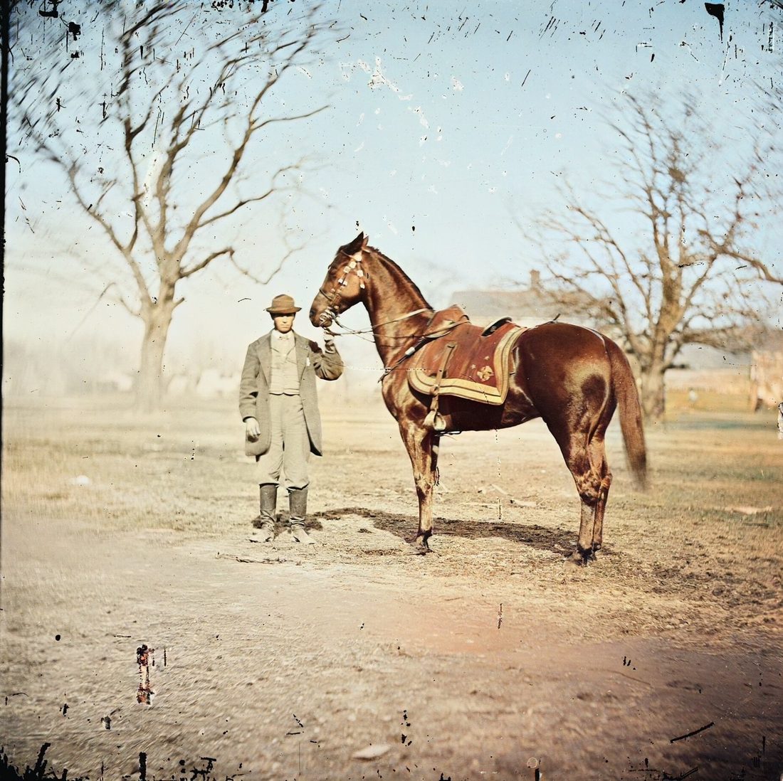 Colorized photograph of a tall chestnut horse with a saddle, held by a man in a bowler hat in a bare winter field