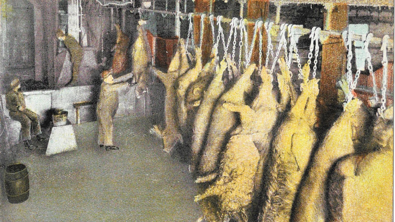 Colorized early 1900s postcard of a dressing room at the Union Stock Yards in Chicago