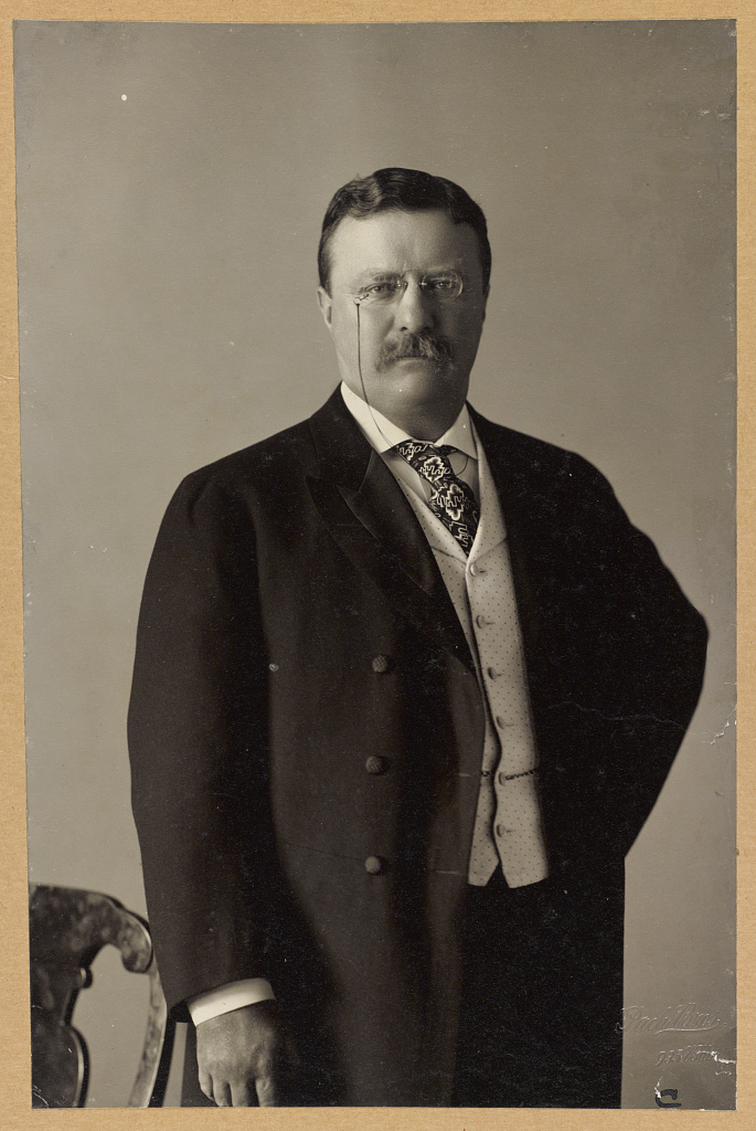 Theodore Roosevelt in a formal presidential portrait.